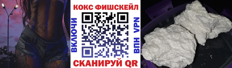 как найти   Людиново  КОКАИН Fish Scale 