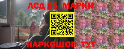индика Ирбит