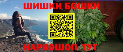 индика Ирбит