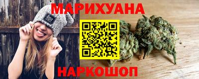 индика Ирбит