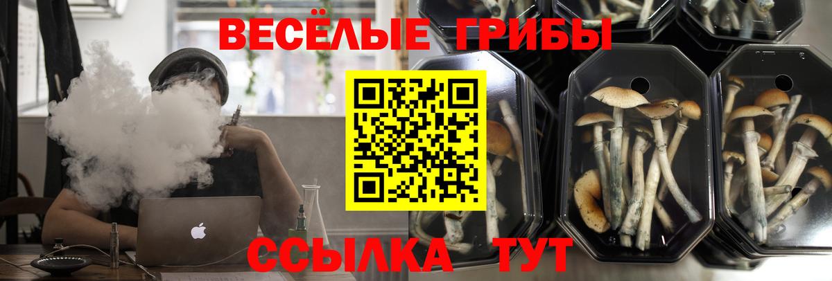 Галлюциногенные грибы Cubensis Людиново