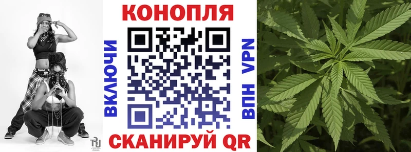 Шишки марихуана марихуана  гидра онион  Людиново 